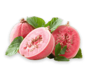 guava